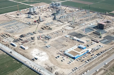 ���u�����h���²��Ŀ���O�F��