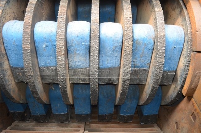 �Nʽ����C�D��