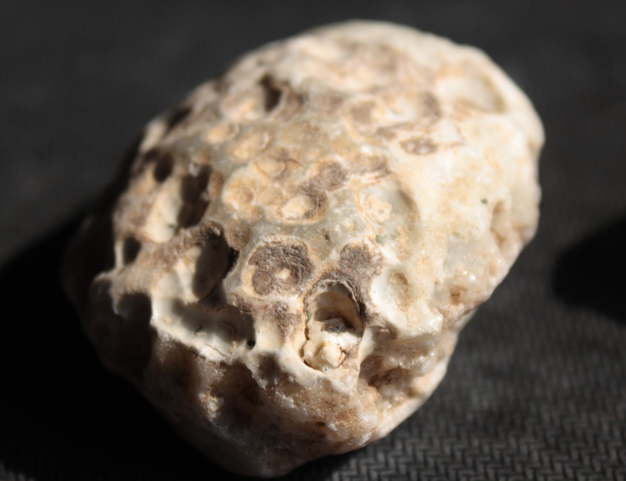 ����r����