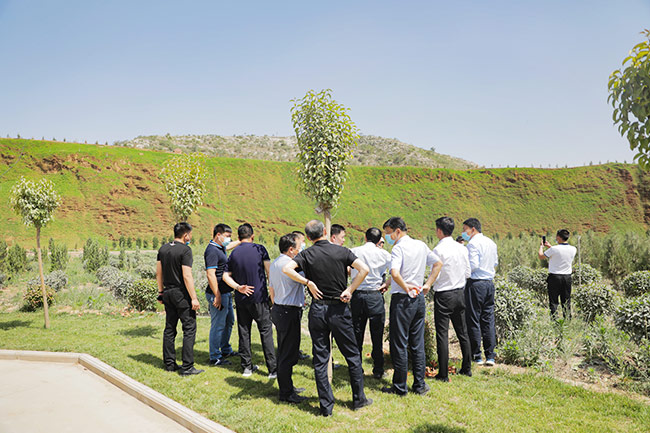 ����ʡ����Ќ�(d��o)����Vɽ���B(t��i)�ޏ�(f��)���h(hu��n)��������r